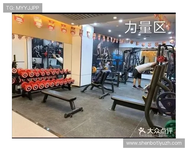 爱尚体育平台登录线路优化设置详细步骤与操作指南