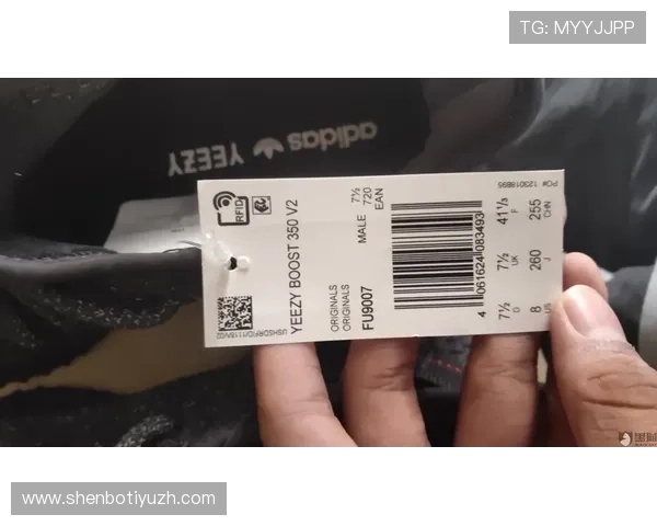 解决OG体育体育会员登录遇到的常见问题提供详细操作指南和技术支持帮助用户顺利登录